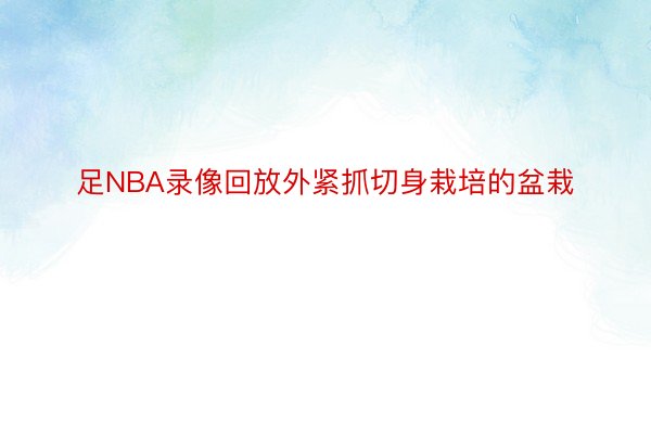 足NBA录像回放外紧抓切身栽培的盆栽